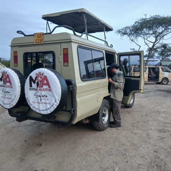Private Tarangire Safari Tour: The Perfect Exclusive