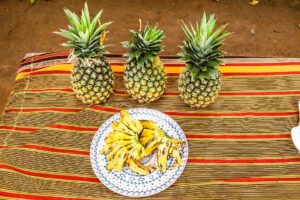 Uganda Tropical Fruits You Will Discover on Your Safari