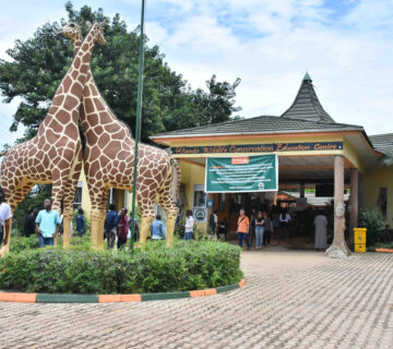 Uganda Wildlife Education Center: A Gateway to Conservation