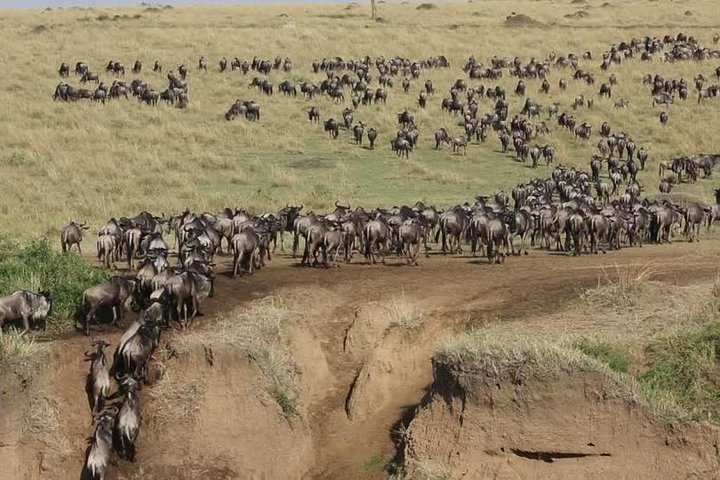 Where Is Kenya Located? And Why It is Perfect for Safari Masai Mara Honeymoon Safari: The Top Rated Romantic
