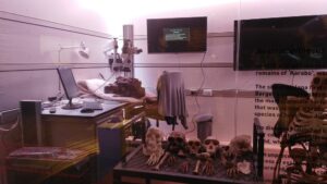 10 Fascinating Facts About the Cradle of Humankind 10 Fascinating Facts About the Cradle of Humankind