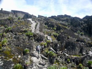 7 Mind-Blowing Facts About Mount Stanley – Africa 7 Mind-Blowing Facts About Mount Stanley – Africa