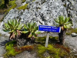 7 Mind-Blowing Facts About Mount Stanley – Africa 7 Mind-Blowing Facts About Mount Stanley – Africa