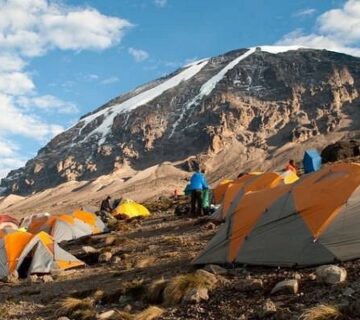 Kilimanjaro Trekking Tours: The Best 2026 Guide