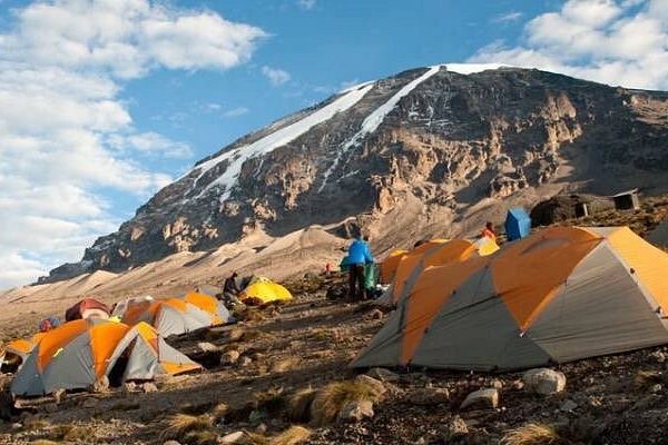 gorilla trekking Kilimanjaro Trekking Tours: The Best 2026 Guide