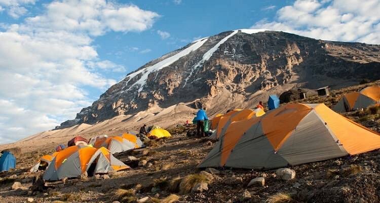 Kilimanjaro Trekking Tours: The Best 2026 Guide Kilimanjaro Hiking Packages: The Ultimate 2026 Guide