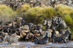 Where Is Tanzania Located in Africa? A Simple Guide Where Is Tanzania Located in Africa? A Simple Guide
