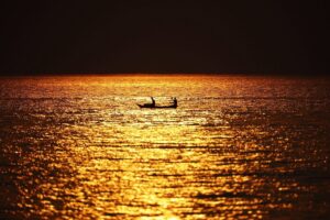Mind-Blowing Facts About Lake Nyasa That Will Surprise You Mind-Blowing Facts About Lake Nyasa That Will Surprise You