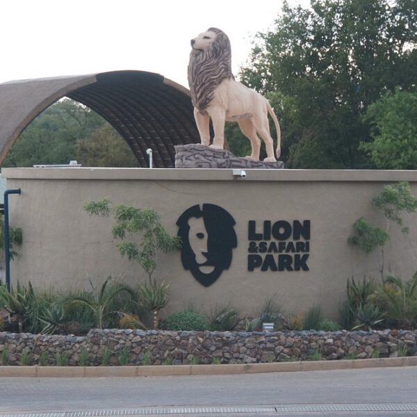 Best Lion and Safari Park Johannesburg 2026 Visitor Guide