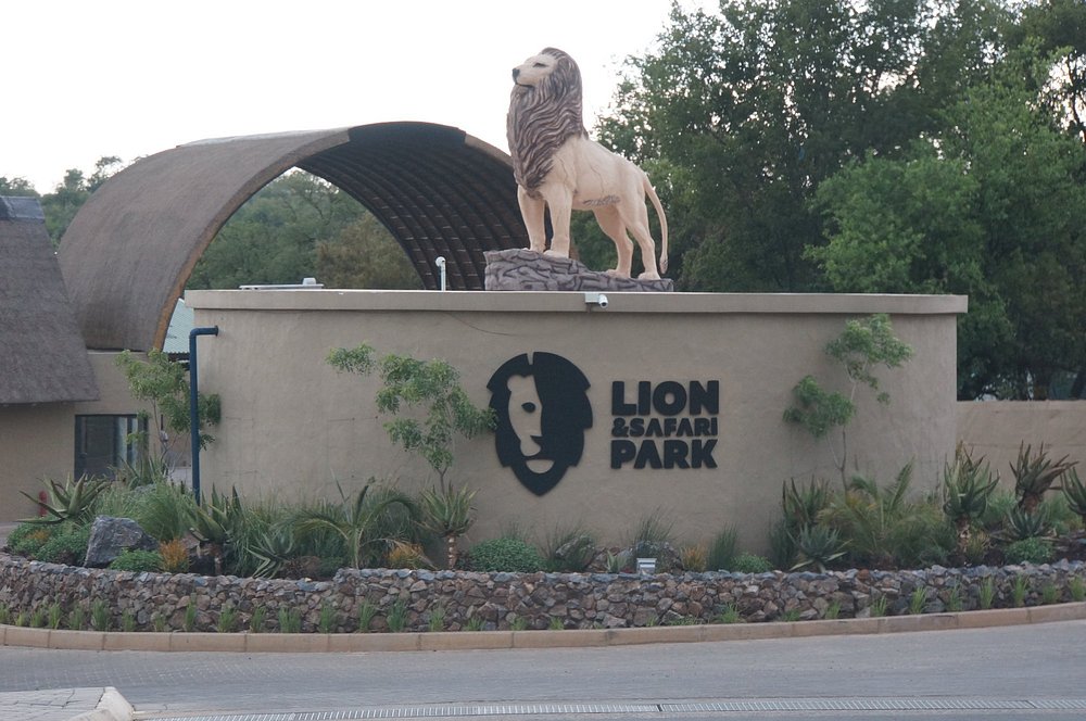 Best Lion and Safari Park Johannesburg 2026 Visitor Guide Best Safari for Couples in Africa: Romantic Luxury,