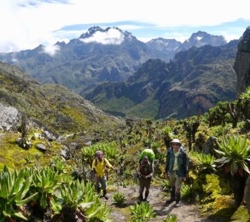 7 Mind Blowing Facts About Mount Stanley – Africa