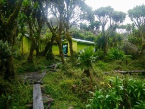 7 Mind-Blowing Facts About Mount Stanley – Africa 7 Mind-Blowing Facts About Mount Stanley – Africa