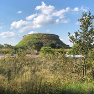 10 Fascinating Facts About the Cradle of Humankind 10 Fascinating Facts About the Cradle of Humankind