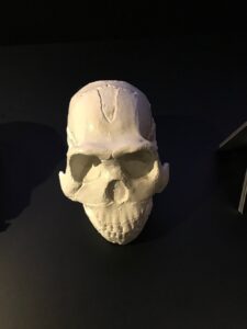10 Fascinating Facts About the Cradle of Humankind 10 Fascinating Facts About the Cradle of Humankind