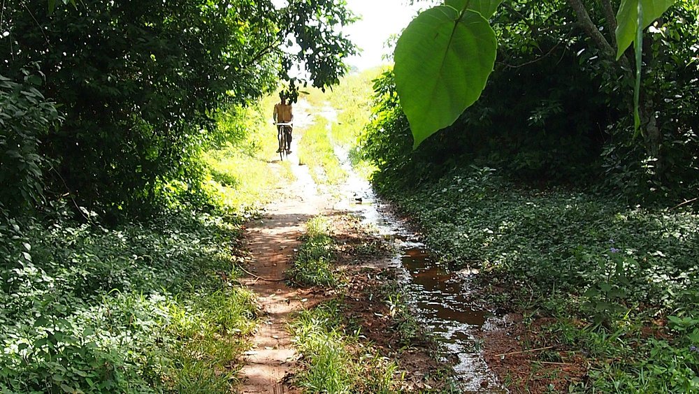 7 Unforgettable Things to Do on the Ssese Islands
