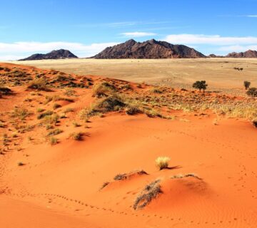 12 Amazing African Deserts: Wonders You Should Know