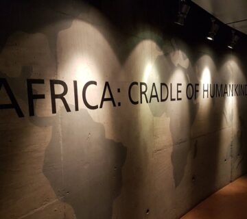 10 Fascinating Facts About the Cradle of Humankind 10 Fascinating Facts About the Cradle of Humankind