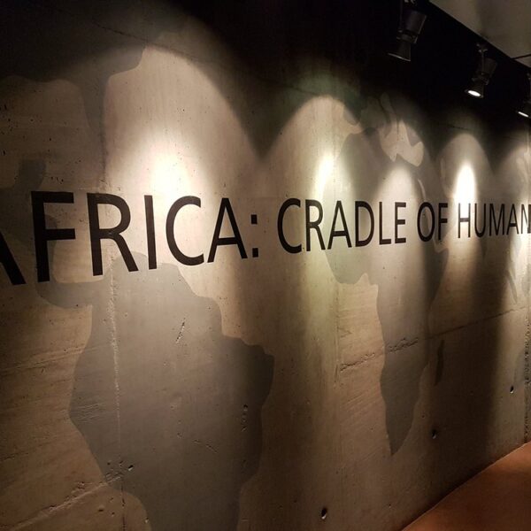 10 Fascinating Facts About the Cradle of Humankind