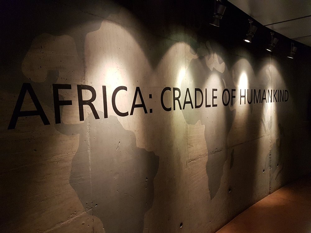 10 Fascinating Facts About the Cradle of Humankind 10 Fascinating Facts About the Cradle of Humankind