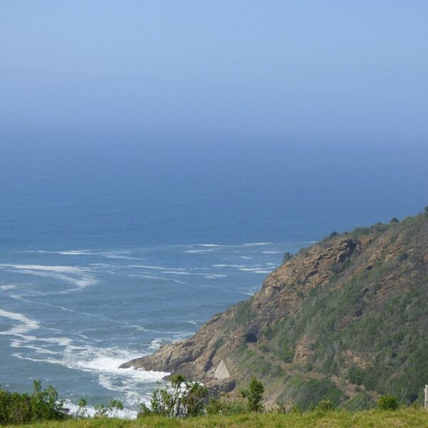 How Many Countries Are There in Africa? A Complete Guide