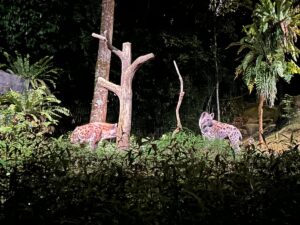 Why a Night Safari in Africa Should Be on Your Bucket List Why a Night Safari in Africa Should Be on Your Bucket List