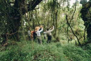 The Secret Lives of Tropical Rainforest Plants The Secret Lives of Tropical Rainforest Plants