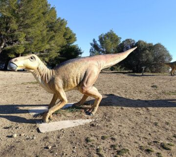 List of Dinosaurs: Names, Pictures & Interesting Facts