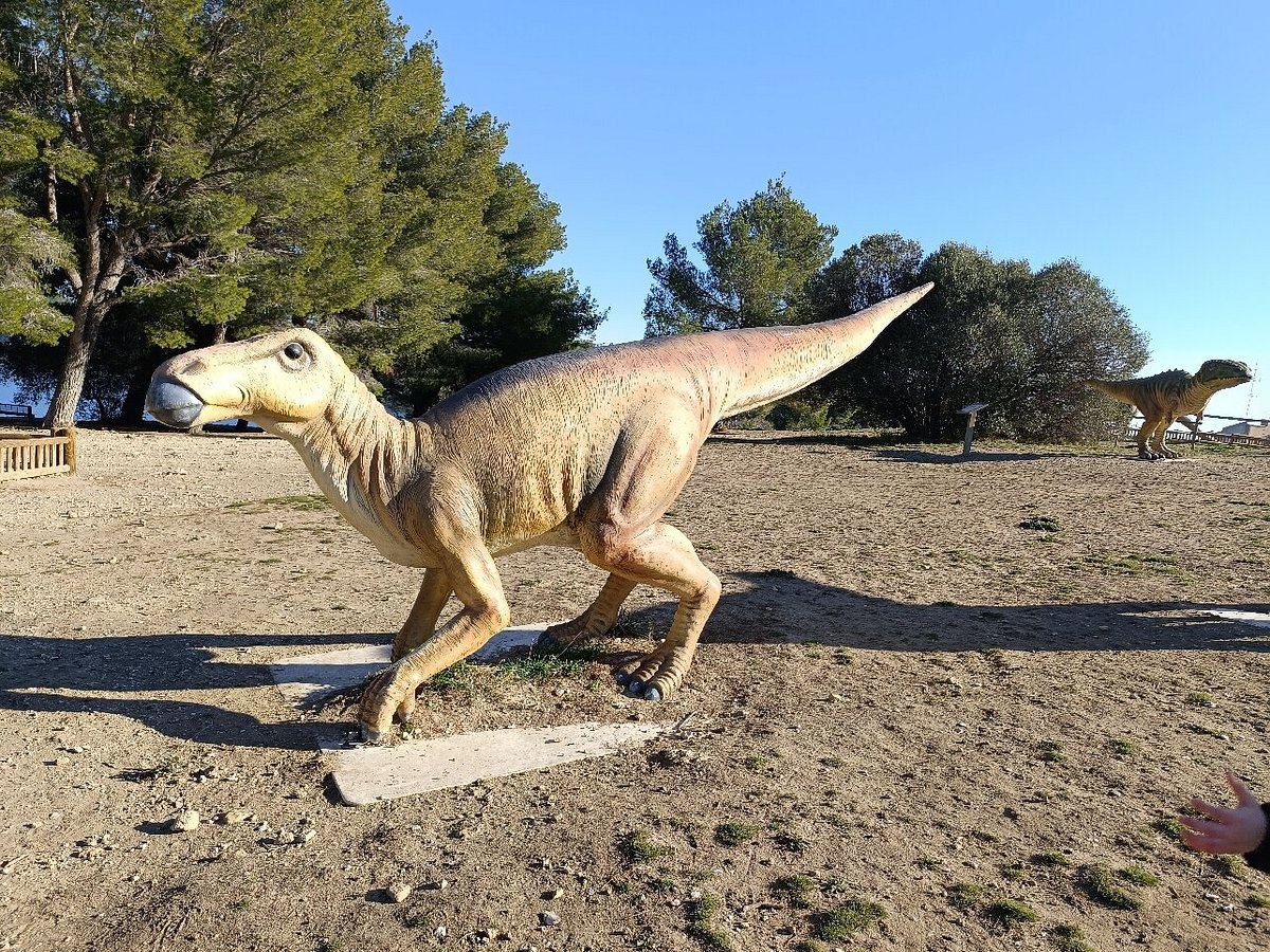 List of Dinosaurs: Names List of Dinosaurs: Names, Pictures & Interesting Facts