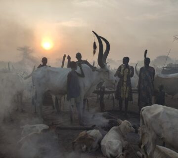 South Sudan Travel Guide 2026: Top Attractions You Need