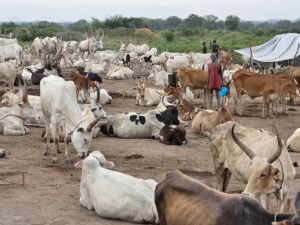 Off the Grid in South Sudan: My Journey into a Dinka Village Off the Grid in South Sudan: My Journey into a Dinka Village