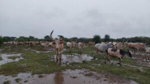 Off the Grid in South Sudan: My Journey into a Dinka Village Off the Grid in South Sudan: My Journey into a Dinka Village