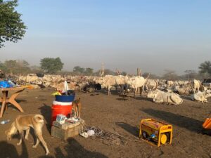 Off the Grid in South Sudan: My Journey into a Dinka Village Off the Grid in South Sudan: My Journey into a Dinka Village