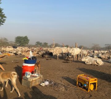 South Sudan Travel Guide 2026: Top Attractions You Need