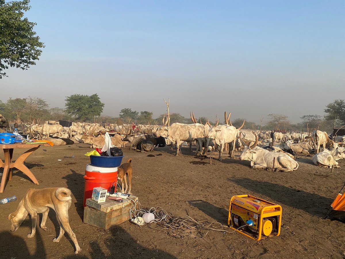 South Sudan Travel Guide 2026: Top Attractions You Need South Sudan Travel Guide 2026: Top Attractions You Need