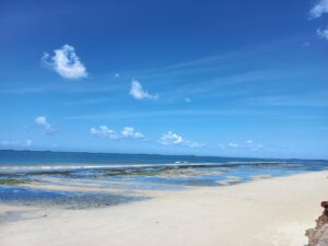 Best Beaches in Tanzania: Complete Travel Guide for 2026 Best Beaches in Tanzania: Complete Travel Guide for 2026