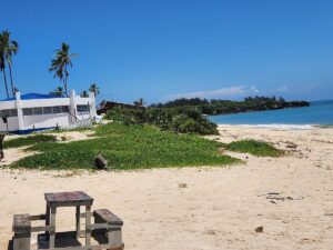 Best Safari Plus Beach Combo Africa: The Ultimate Luxury Best Safari Plus Beach Combo Africa: The Ultimate Luxury