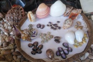 What Does “Asante Sana” Mean? A Complete Guide What Does “Asante Sana” Mean? A Complete Guide