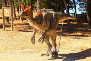 List of Dinosaurs: Names List of Dinosaurs: Names, Pictures & Interesting Facts