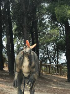List of Dinosaurs: Names List of Dinosaurs: Names, Pictures & Interesting Facts