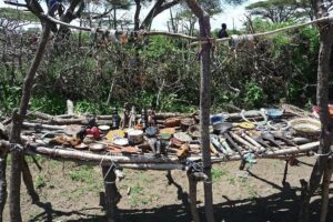 10 Things You Did not Know About the Masai People Diet 10 Things You Didn’t Know About the Masai People’s Diet