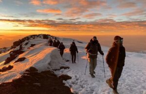 Mount Kilimanjaro Climbing Packages: The Complete 2026 Mount Kilimanjaro Climbing Packages: The Complete 2026