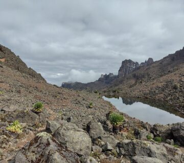 10 Best Hiking Trails in Kenya (2026): Routes, Tips