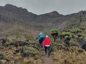 10 Best Hiking Trails in Kenya (2026): Routes 10 Best Hiking Trails in Kenya (2026): Routes, Tips