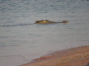 Best Zimbabwe Beach Safari Destinations to Visit in 2026