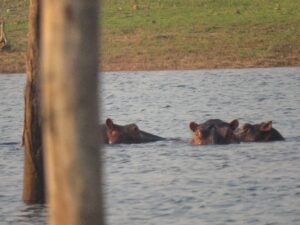 Best Zimbabwe Beach Safari Destinations to Visit in 2026