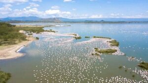 Best Things to Do at Lake Nakuru National Park: