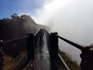 Best Zimbabwe Beach Safari Destinations to Visit in 2026