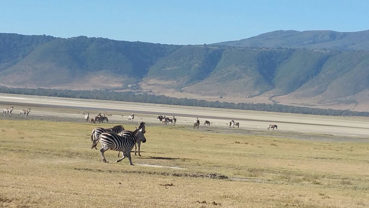 Tarangire and Ngorongoro Safari Package: The Best Tanzania