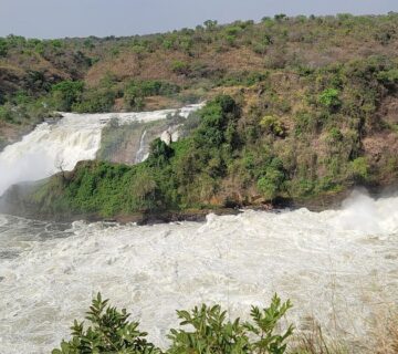 Book Murchison Falls Safari: The Ultimate Guide