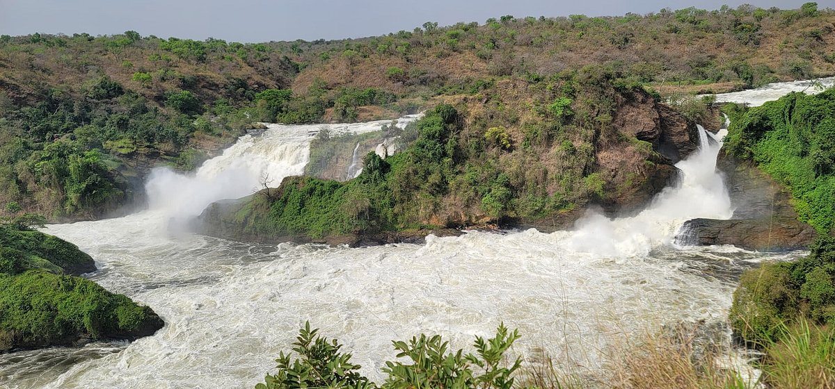 Book Murchison Falls Safari: The Ultimate Guide